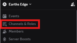 Image of Discords Channels and Roles Tab